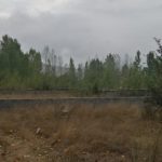 زمین فروشی شمال کلاردشت