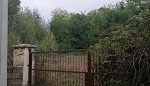 IMG_20221014_151703