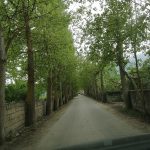 IMG_20220427_124301