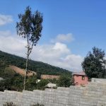 IMG_20230824_092308