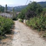 IMG_20230824_093331