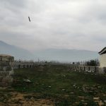 IMG_20231104_091251