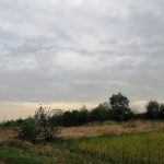 IMG_20231120_110927