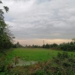IMG_20231120_111251