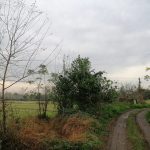 IMG_20231120_111346